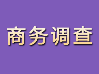 永城商务调查